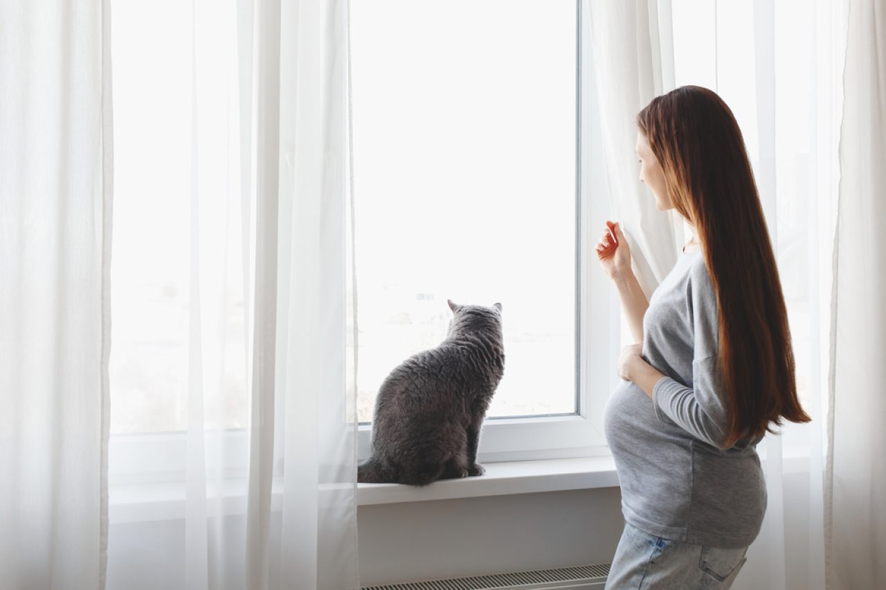 Do Cats Get Clingy When You're Pregnant? Can They Sense It?