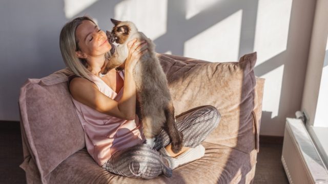 why do cats like earwax