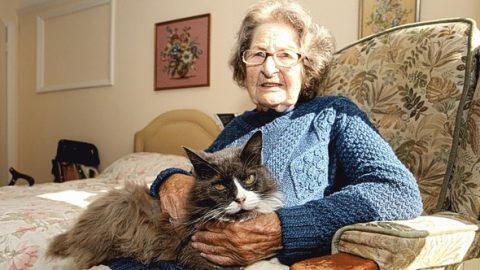 A Definition Of Cat’s Love: This Kitty Followed Her Owner Into A Retirement Home