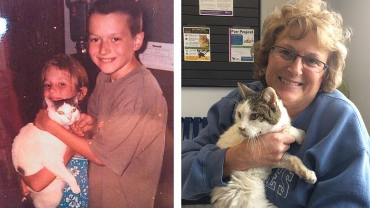 14 Yıl Ayrı Kaldıktan Sonra Bu Kedi Son Vedasını Etmek Üzere Ailesiyle Yeniden Bir Araya Geldi
