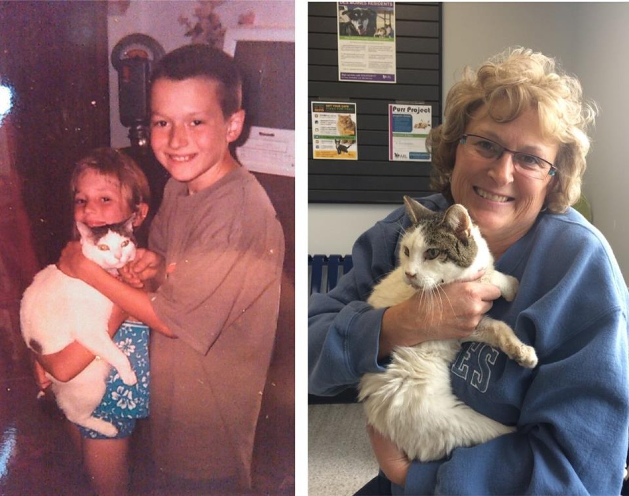 After 14 Years Of Being Separated, This Cat Gets Reunited With His Family To Say Goodbye