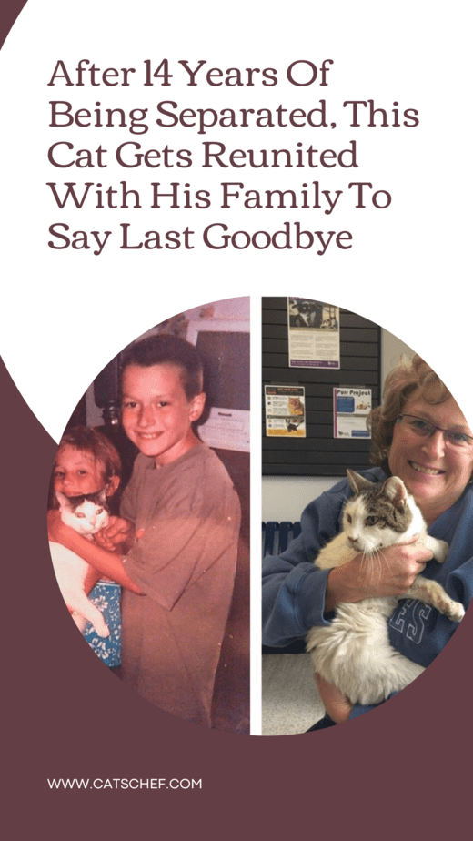 After 14 Years Of Being Separated, This Cat Gets Reunited With His Family To Say Last Goodbye