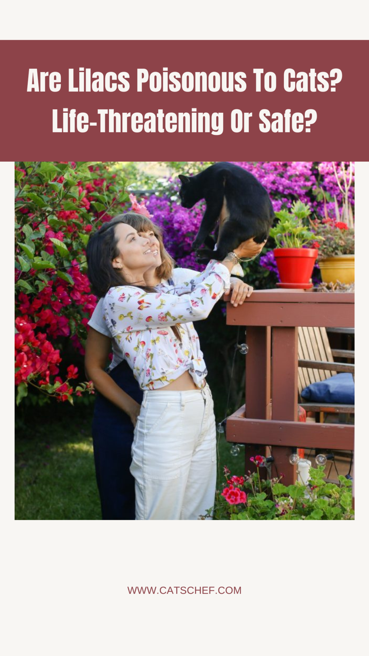 Are Lilacs Poisonous To Cats? LifeThreatening Or Safe?