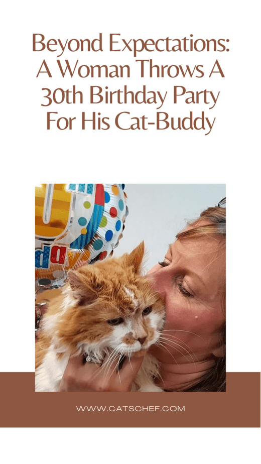 Beyond Expectations: A Woman Throws A 30th Birthday Party For His Cat-Buddy