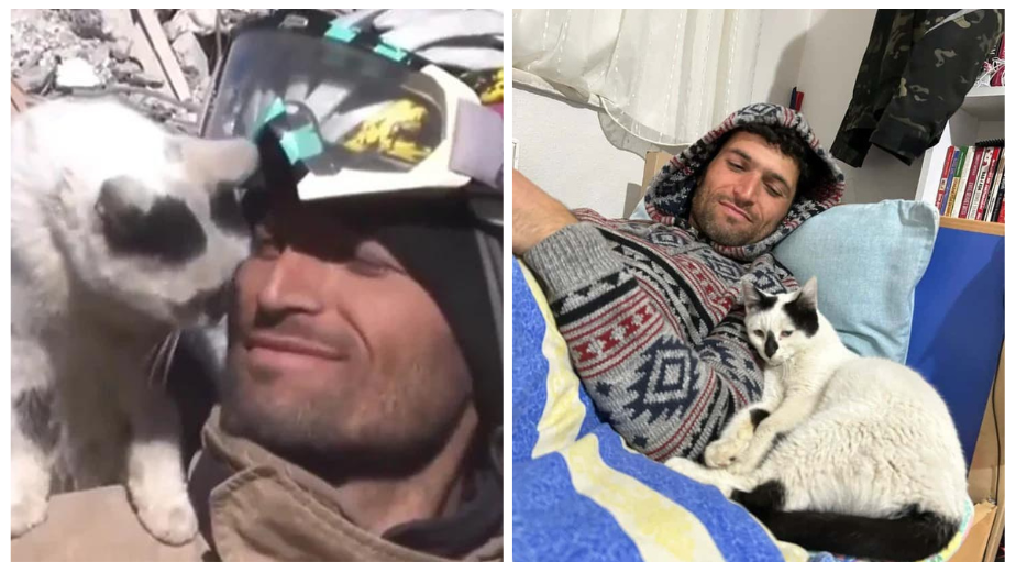 Miracle Cat Saved Under The Rubble In Turkey Refuses To Leave His Rescuer’s Side