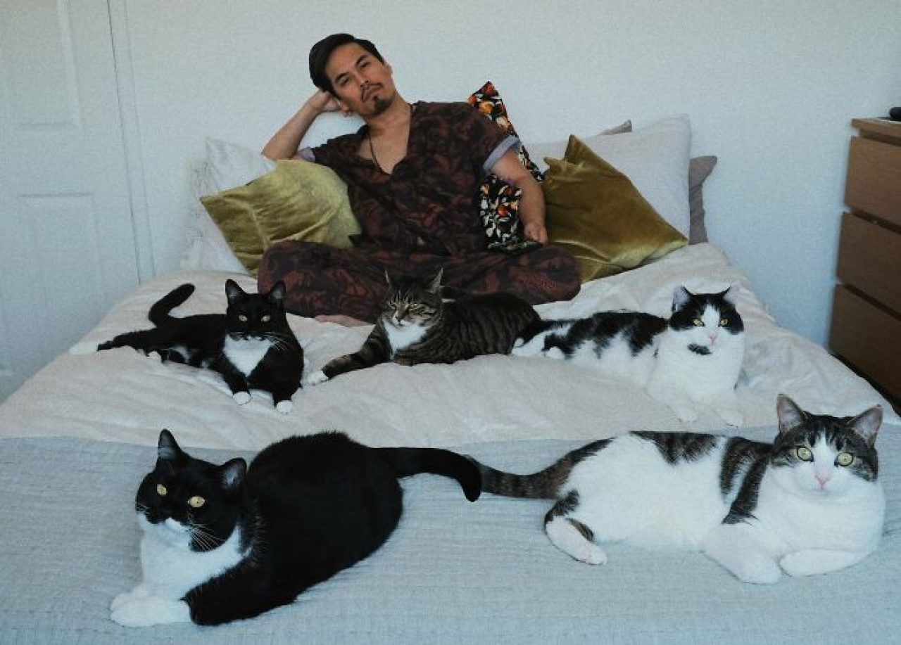 Surprised Man Who Has No Pets Finds 5 Cats In His Room! Magic Or What