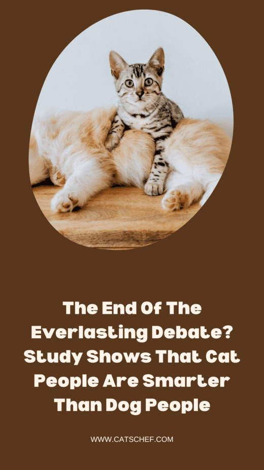 The End Of The Everlasting Debate? Study Shows That Cat People Are Smarter Than Dog People