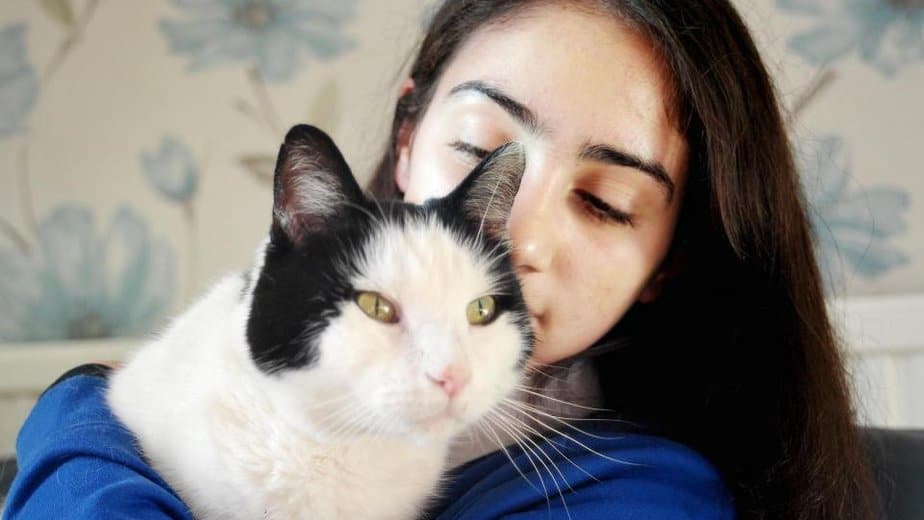 This Intelligent Cat Takes A Train Home After Going Missing For Two Weeks