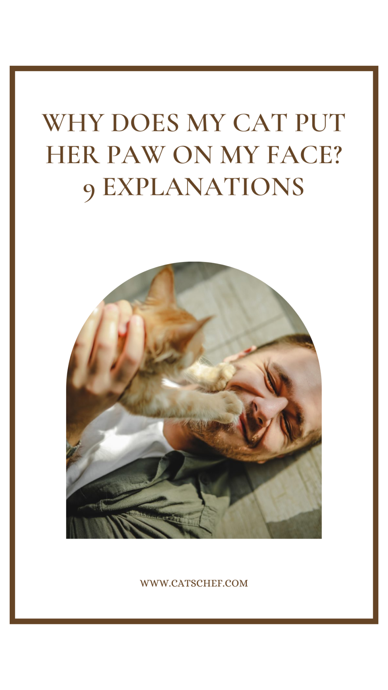 Why Does My Cat Put Her Paw On My Face? 9 Explanations