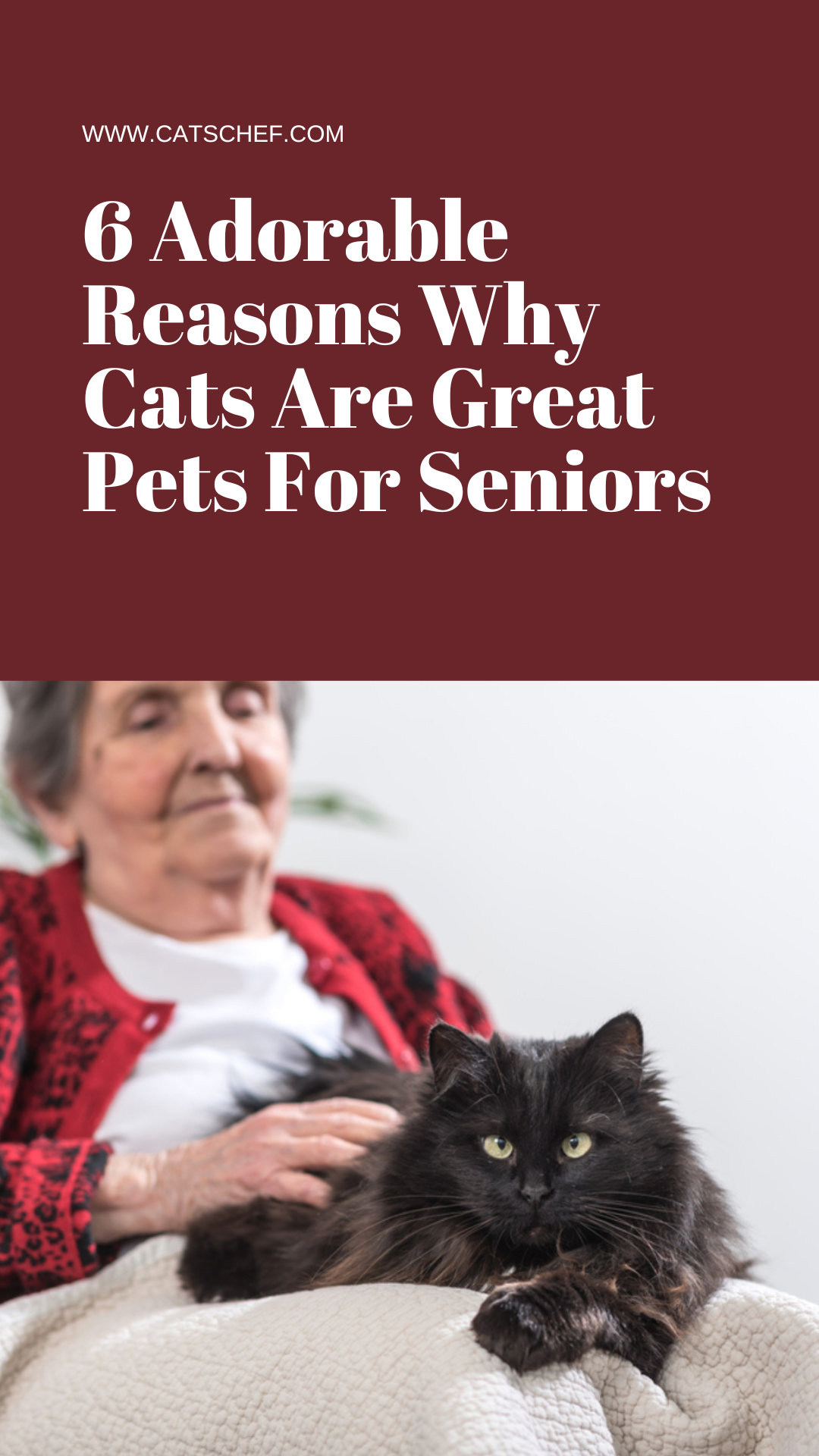 Kedilerin Yaşlılar İçin Harika Evcil Hayvanlar Olmasının 6 Sevimli Nedeni