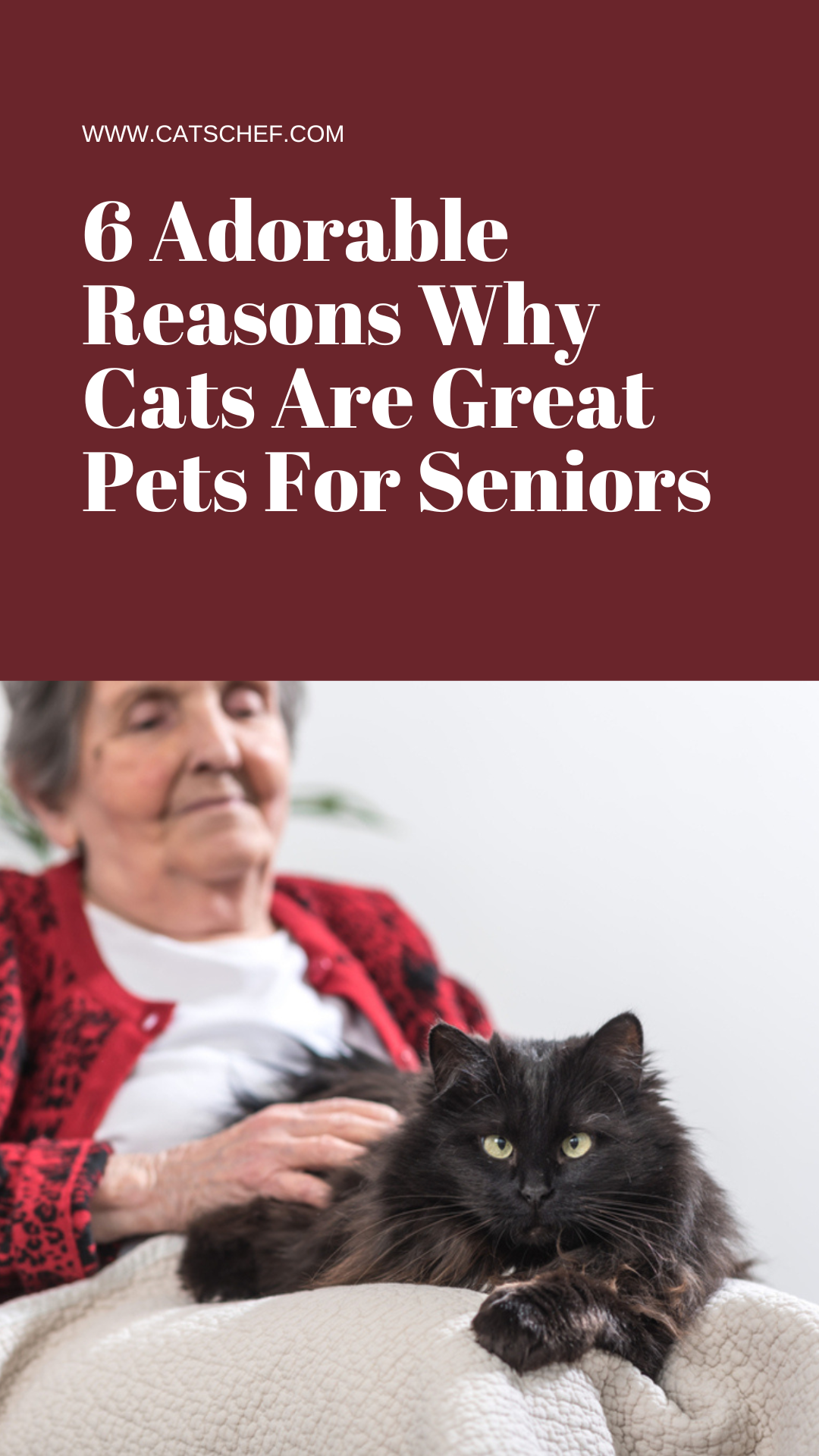 6 Adorable Reasons Why Cats Are Great Pets For Seniors