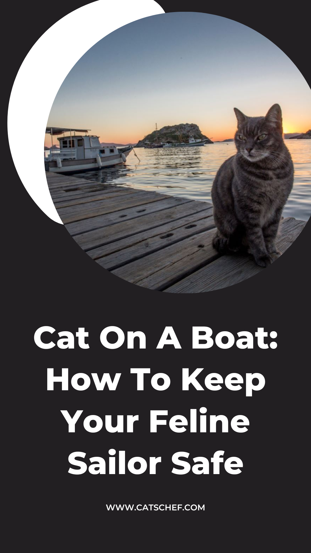 Teknedeki Kedi: Kedi Denizcinizi Nasıl Güvende Tutabilirsiniz?