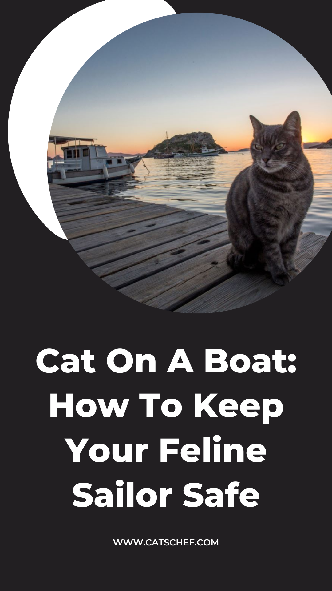 Cat On A Boat: How To Keep Your Feline Sailor Safe