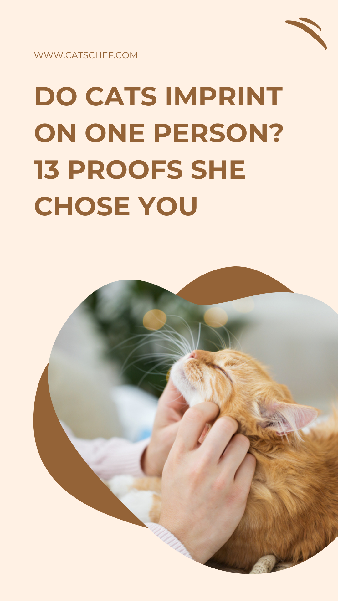 Do Cats Imprint On One Person? 13 Proofs She Chose You