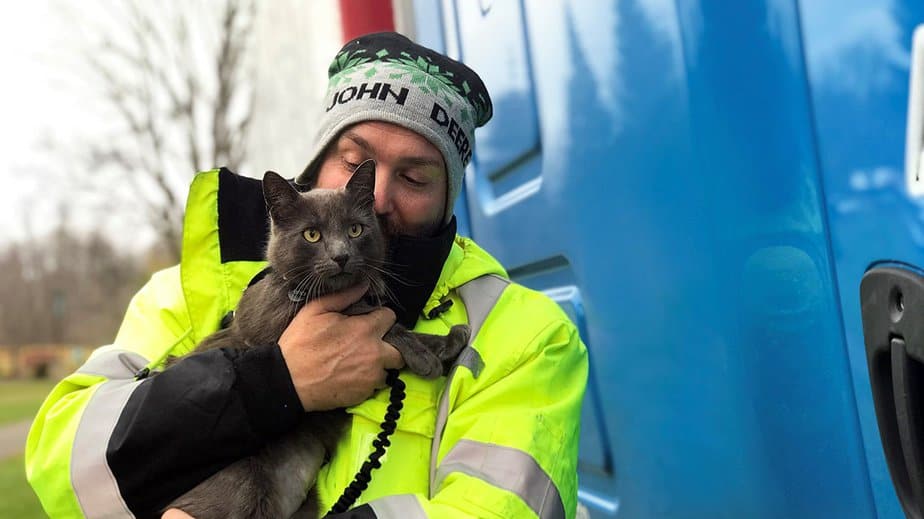 Finally Reunited: Trucker Finds His Missing Cat-Buddy After Months Of Searching