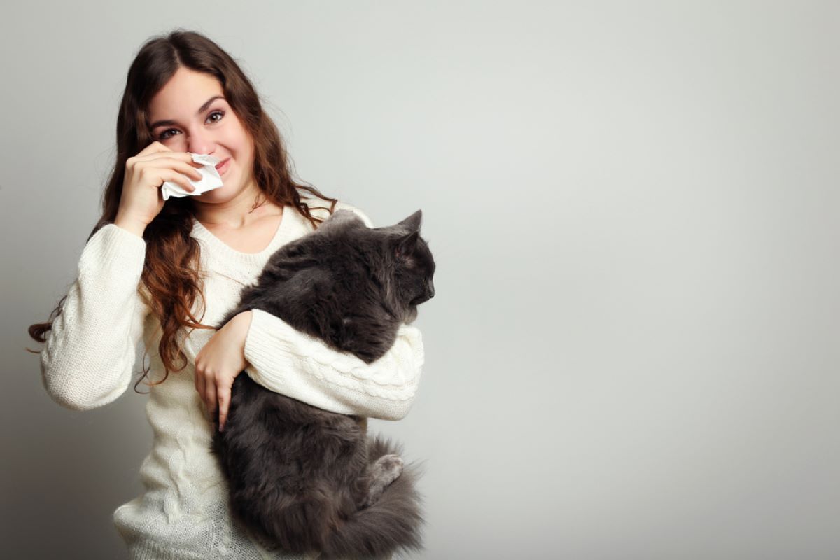 How To Get Rid Of Cat Allergies Naturally: Purrfect Remedies