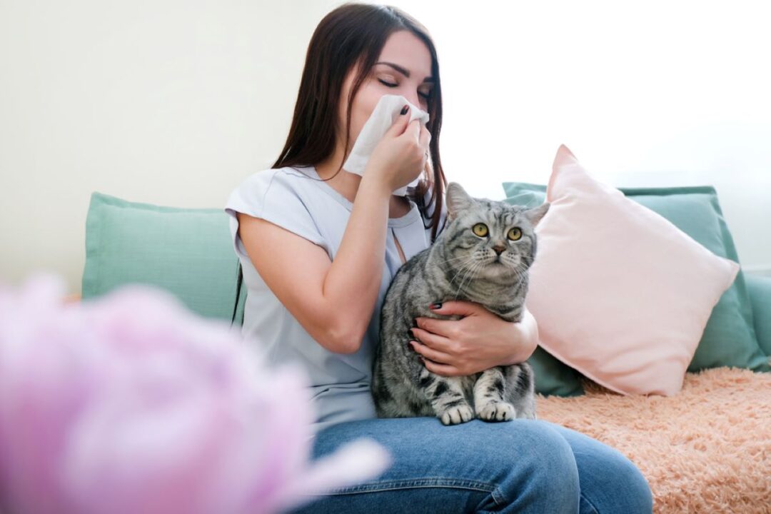 How To Get Rid Of Cat Allergies Naturally: 8 Tips That Help