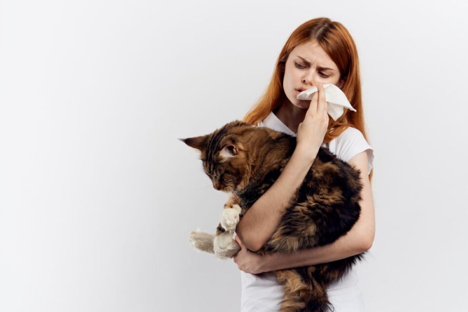 How To Get Rid Of Cat Allergies Naturally 8 Tips That Help