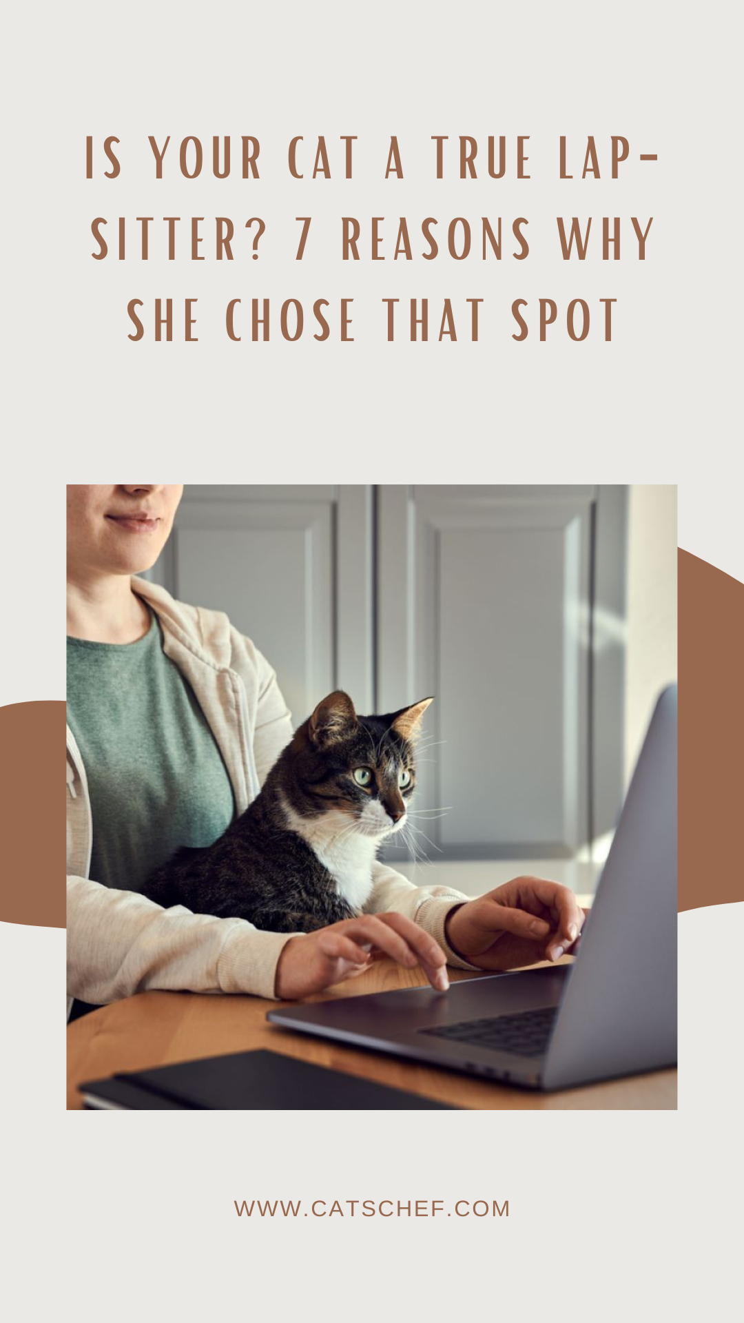 Is Your Cat A True Lap-Sitter? 7 Reasons Why She Chose That Spot