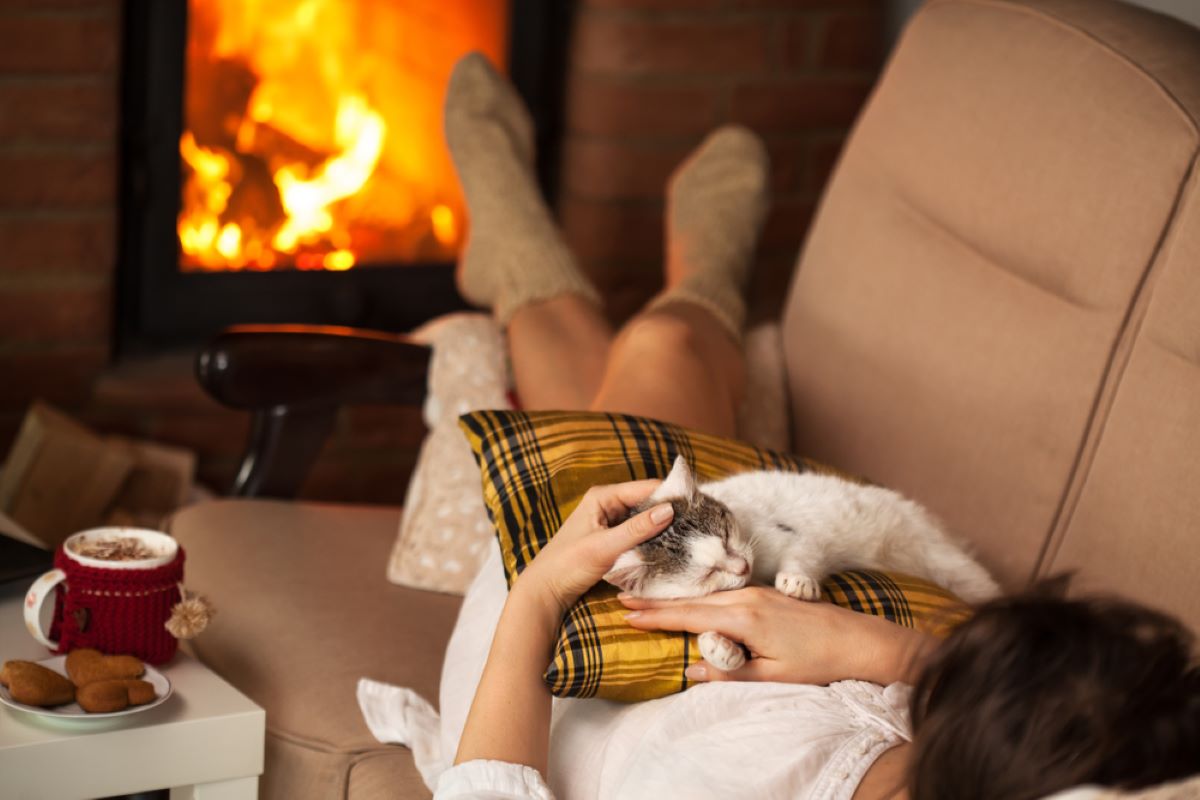 Making Your Dreams Come True: 7 Ways To Get Your Cat To Cuddle