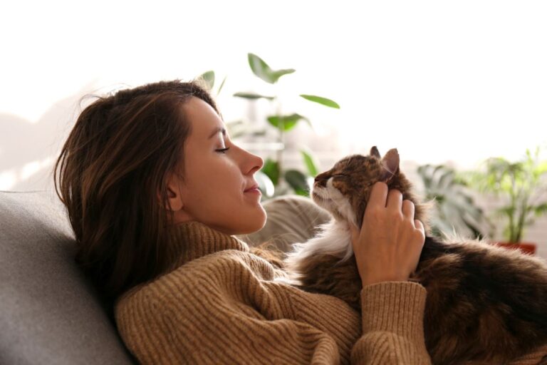 Making Your Dreams Come True 7 Ways To Get Your Cat To Cuddle