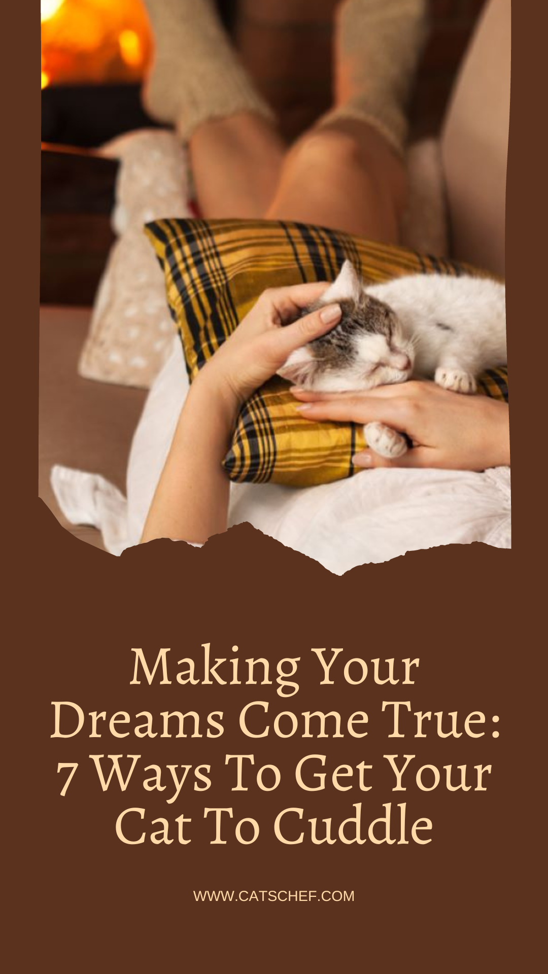 Hayallerinizi Gerçekleştirmek: Kedinize Sarılmanın 7 Yolu