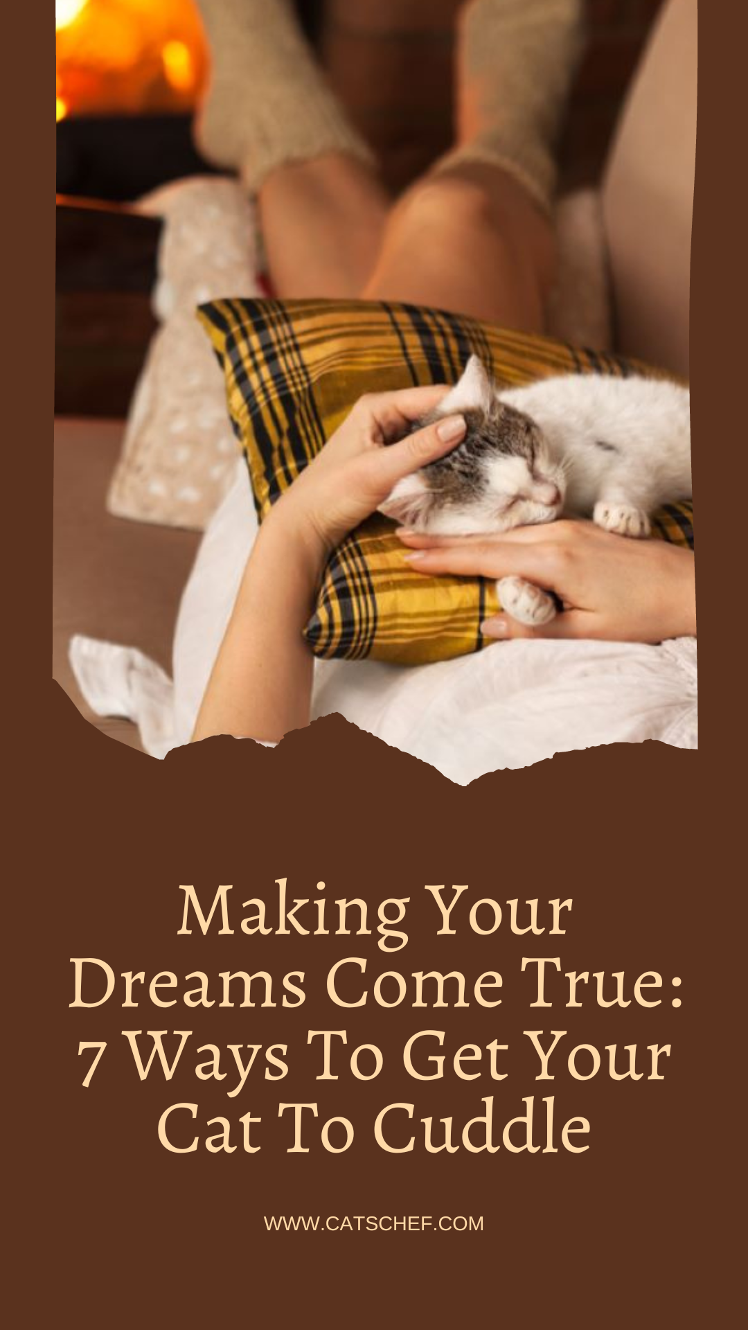 Making Your Dreams Come True: 7 Ways To Get Your Cat To Cuddle