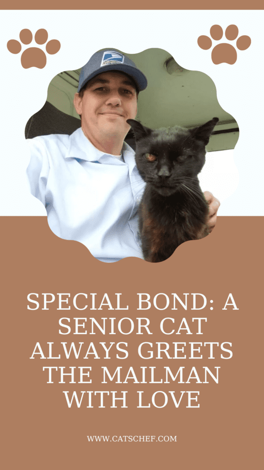 Special Bond: A Senior Cat Always Greets The Mailman With Love