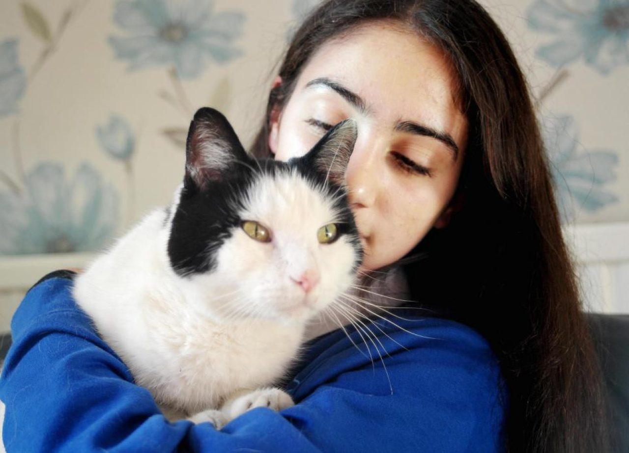 This Intelligent Cat Takes A Train Home After Going Missing For Two Weeks