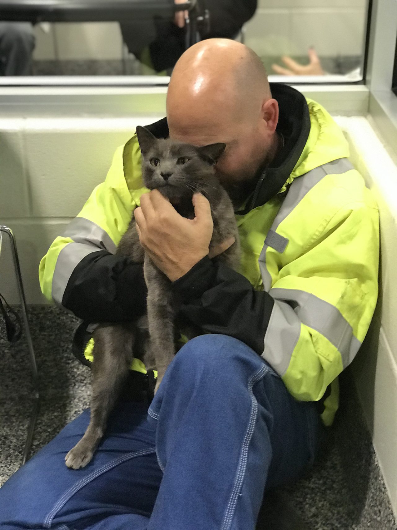 Finally Reunited: Trucker Finds His Missing Cat-Buddy After Months Of Searching