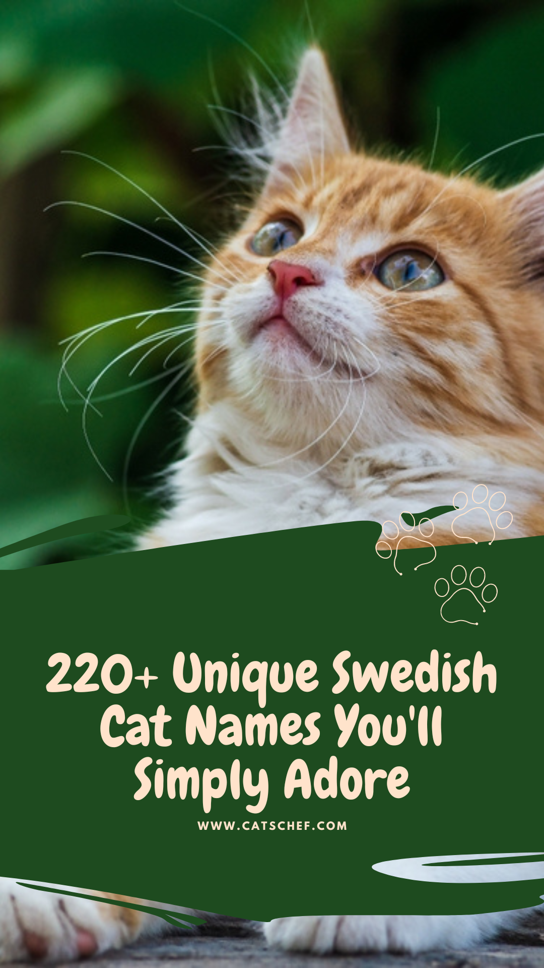 220+ Unique Swedish Cat Names You'll Simply Adore