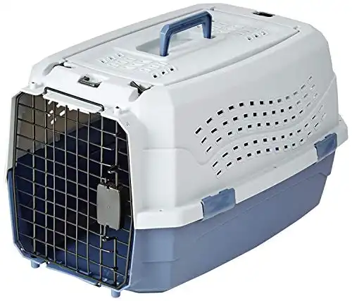 Amazon Basics 2-Door Top Load Hard-Sided Dog and Cat Kennel Travel Carrier, 23-Inch