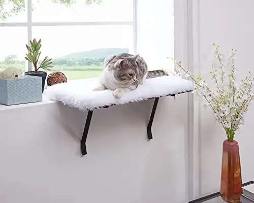 sweetgo Kedi Pencere Tüneği-Kedi için Monte Raf Yatağı-Komik Uyku DIY Kitty Eşik Pencere Tüneği-Yıkanabilir Köpük Kedi Koltuğu