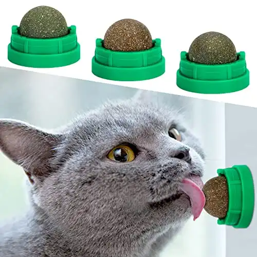 OHALEEP Kediler için Catnip Topu Duvar, 3 Paket Catnip Oyuncakları, Kediler için Yenilebilir Kedi Oyuncakları Yala, Güvenli Sağlıklı Yavru Kedi Çiğneme Oyuncakları, Diş Temizleme Diş Kedi Oyuncakları, Kedi Duvar İkramları (Yeşil)