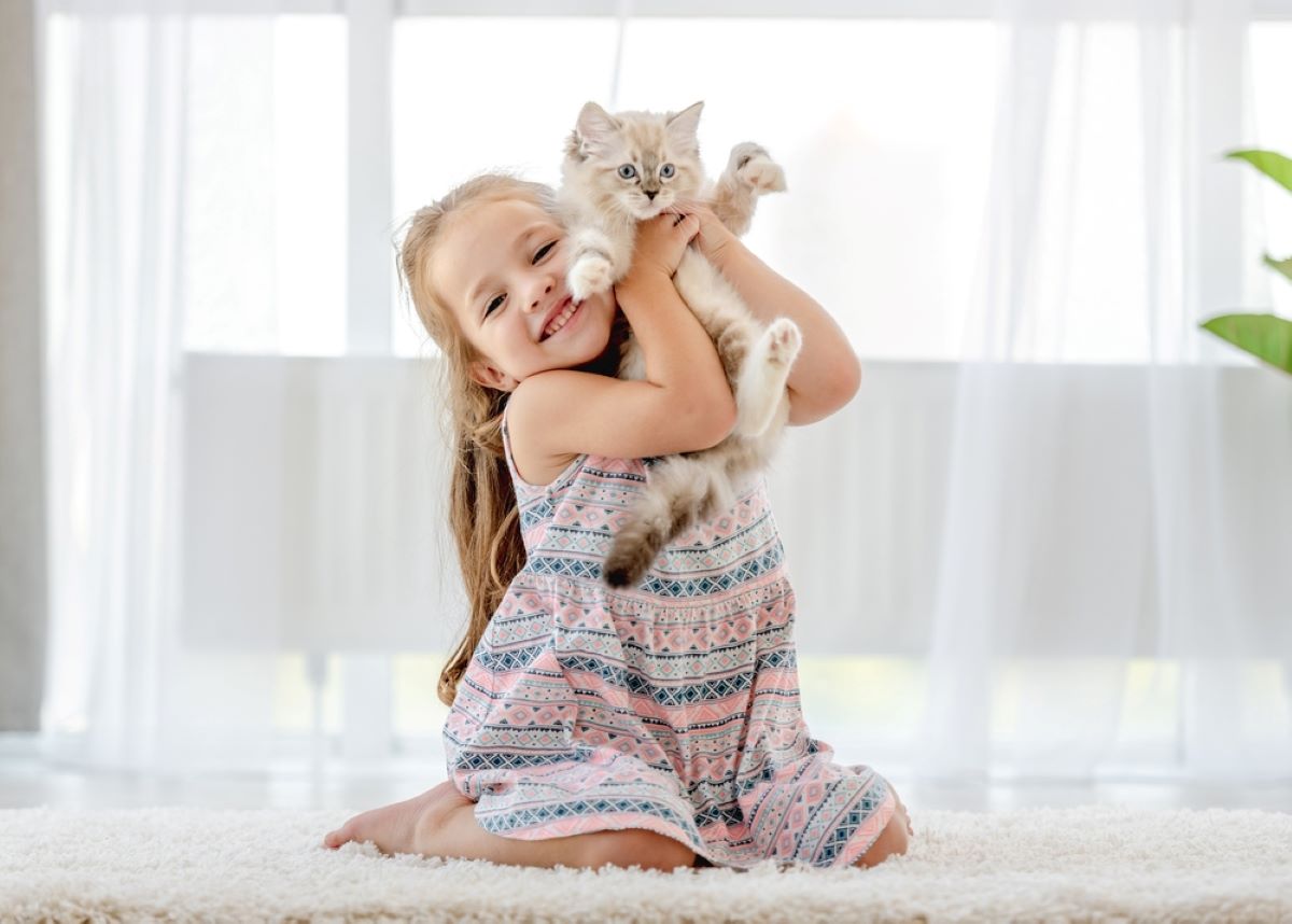 6 Playful Cat Breeds Perfect For Families With Kids