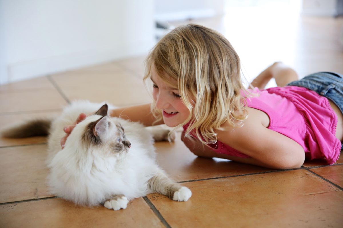 6 Playful Cat Breeds Perfect For Families With Kids