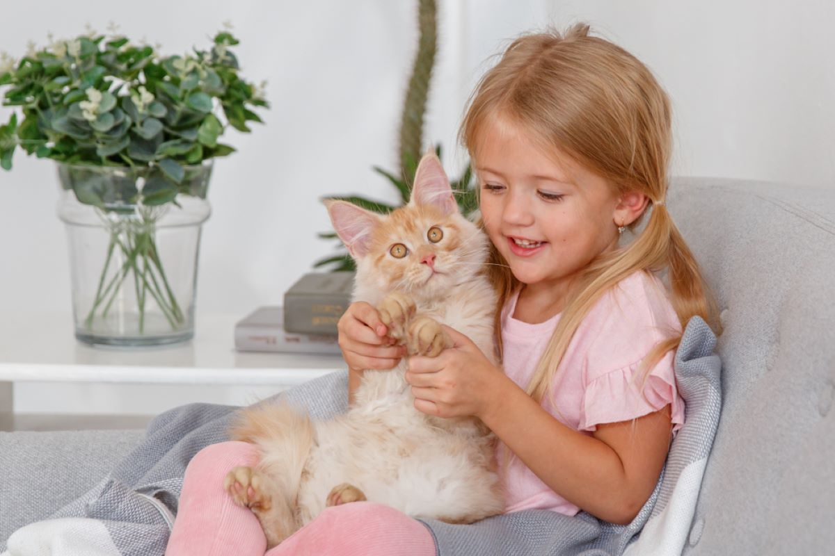 6 Playful Cat Breeds Perfect For Families With Kids