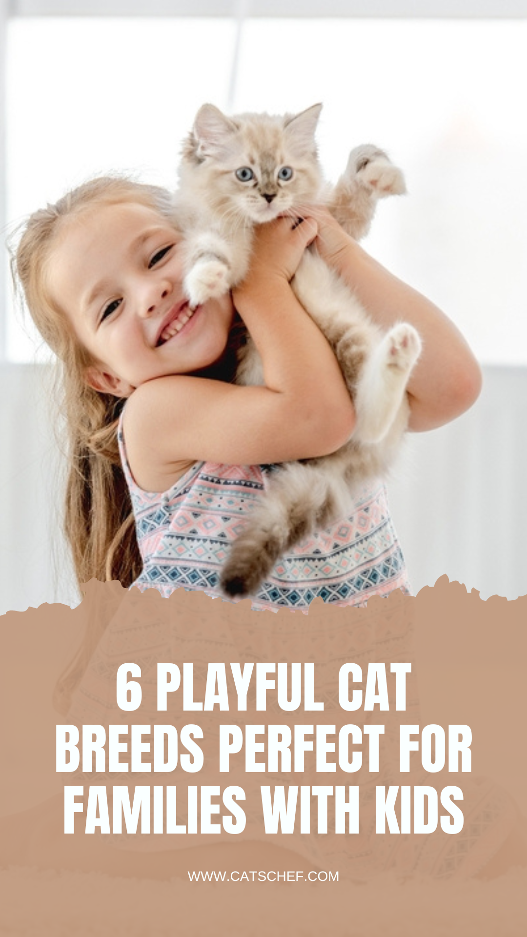 Çocuklu Aileler İçin Mükemmel 6 Oyuncu Kedi Irkı