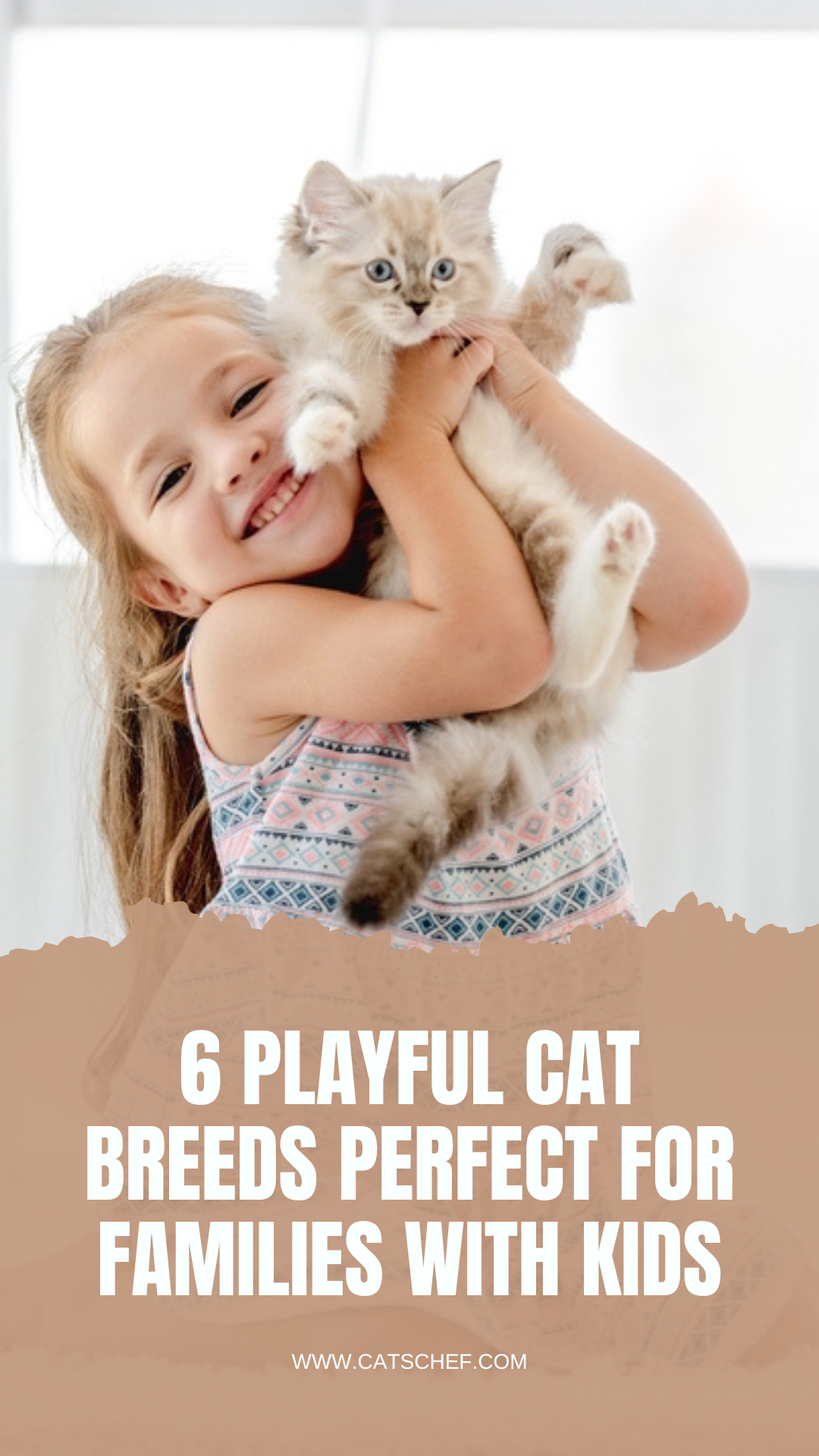 6 Playful Cat Breeds Perfect For Families With Kids