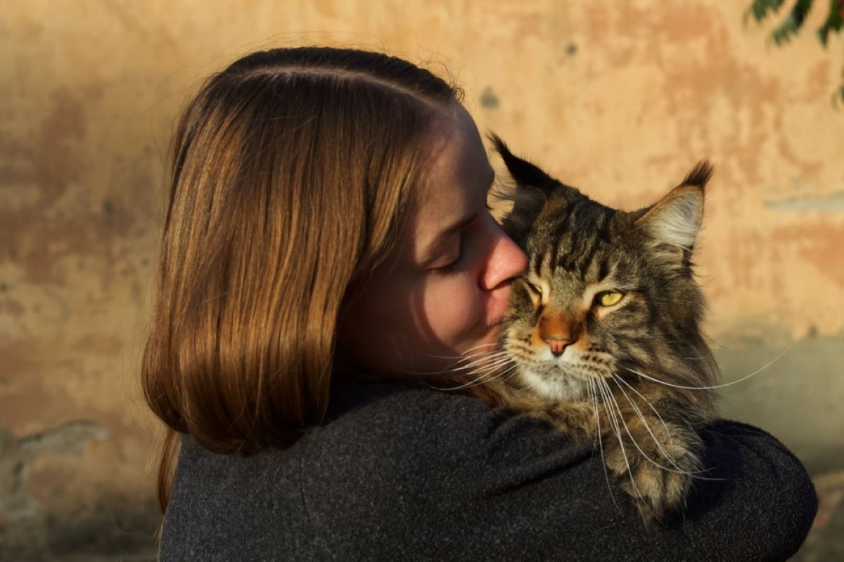 7 Great Emotional Support Cats That Won't Ever Leave Your Side