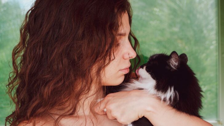 7 Great Emotional Support Cats That Won’t Ever Leave Your Side