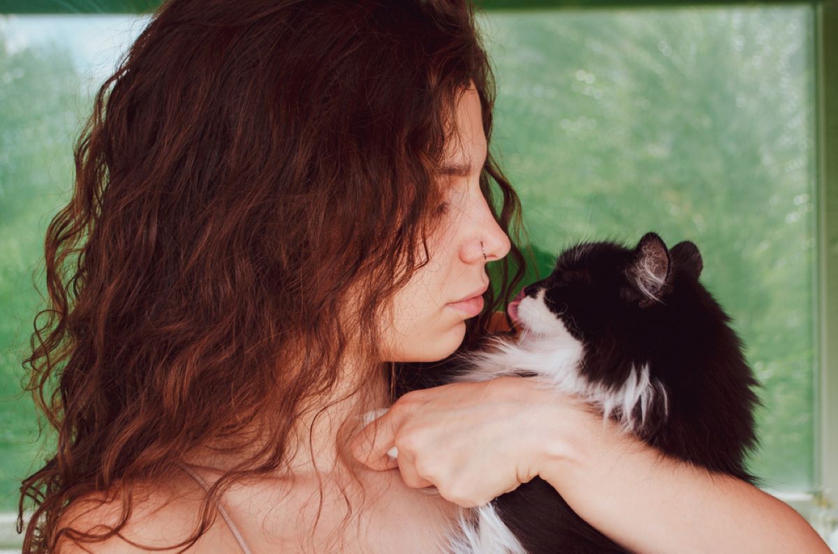 7 Great Emotional Support Cats That Won't Ever Leave Your Side