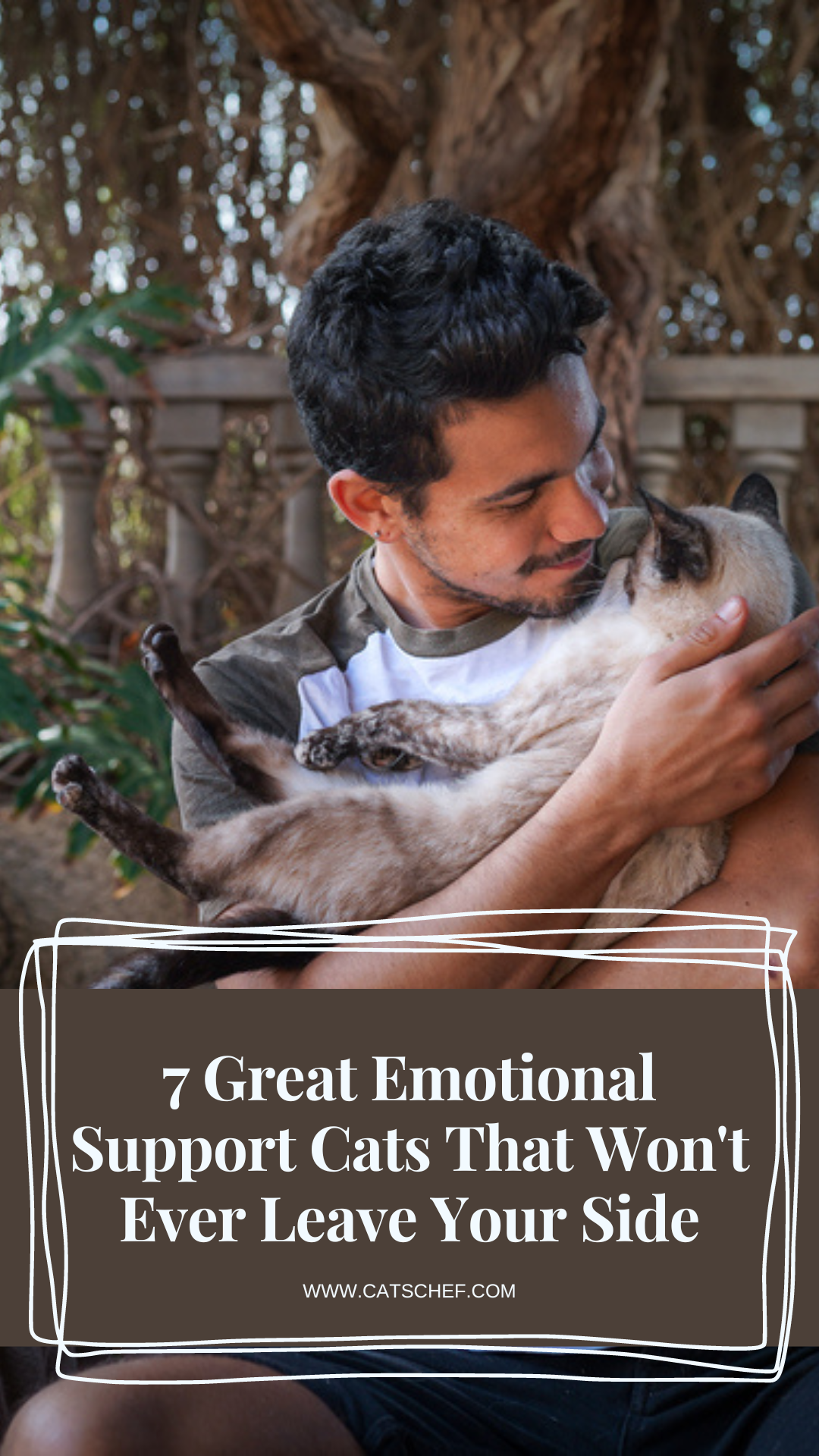 7 Great Emotional Support Cats That Won't Ever Leave Your Side