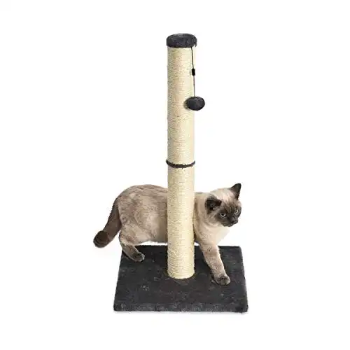 Amazon Basics Cat Scratching Post, Medium, 16 x 16 x 32 Inches, Gray