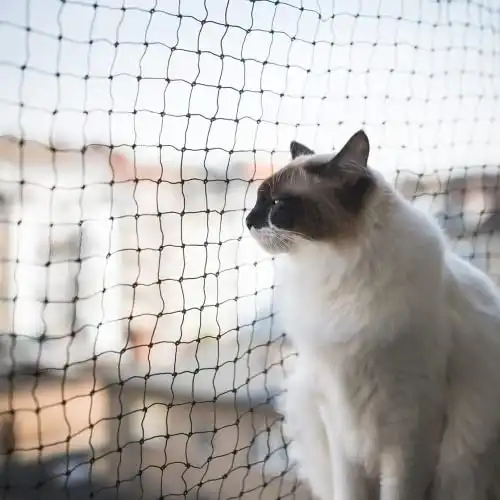 AIYGO Kedi Ağı Balkon Balkon için Pet Örgü Çit Evcil Hayvanlar için Siyah Naylon Balkon Ağı Balkon ve Pencereler için Düşme Önleyici Kedi Ağı （10 * 20ft）