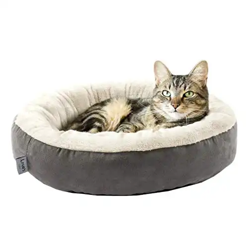 Love's cabin Round Donut Cat and Dog Cushion Bed, 20in Pet Bed for Cats or Small Dogs, Anti-Slip & Water-Resistant Bottom, Super Soft Durable Fabric Pet beds, Washable Luxury Cat & Dog Be...