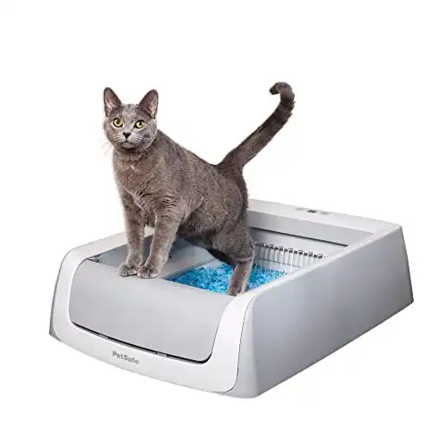 PetSafe ScoopFree Complete Plus Self-Cleaning Cat Litterbox – Never Scoop Litter Again – Hands-Free Cleanup With Disposable Crystal Tray – Less Tracking, Better Odor Control – ...