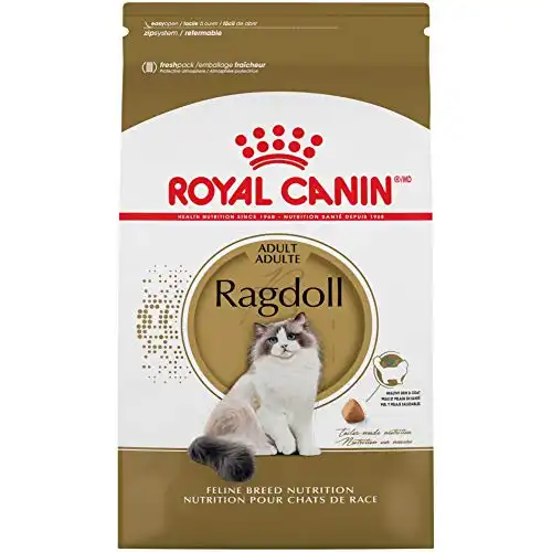 Royal Canin Ragdoll Irkı Yetişkin Kuru Kedi Maması, 7 lb torba