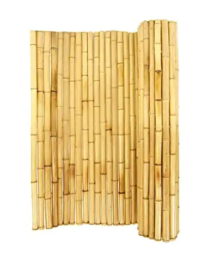 Backyard X-Scapes Doğal Bambu Eskrim Dekoratif Haddelenmiş Çit Paneli 0.75 inç D x 6 ft H x 8 ft L