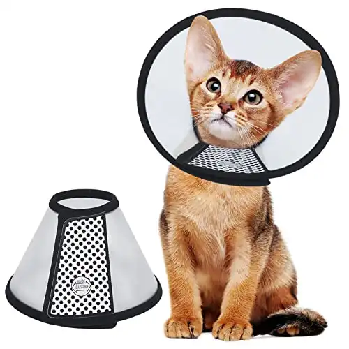 Vivifying Cat Cone, Adjustable Recovery Pet Cone, 8.1 Inches Lightweight Plastic Elizabethan Collar for Cats, Mini Dogs and Rabbits (Black)